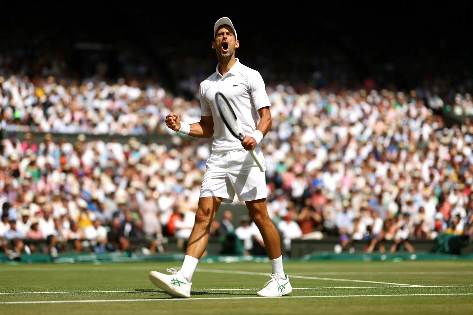 LOL电竞动态-关于日本网球队逆转意大利网球队，克耶高斯打破历史纪录的信息