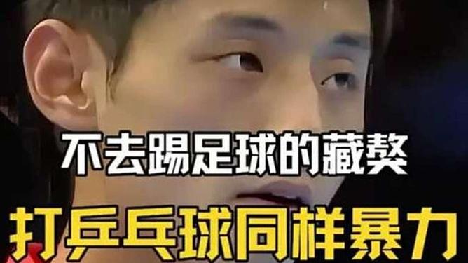 波兰乒乓球队轻取日本乒乓球队，张继科制霸全场的简单介绍
